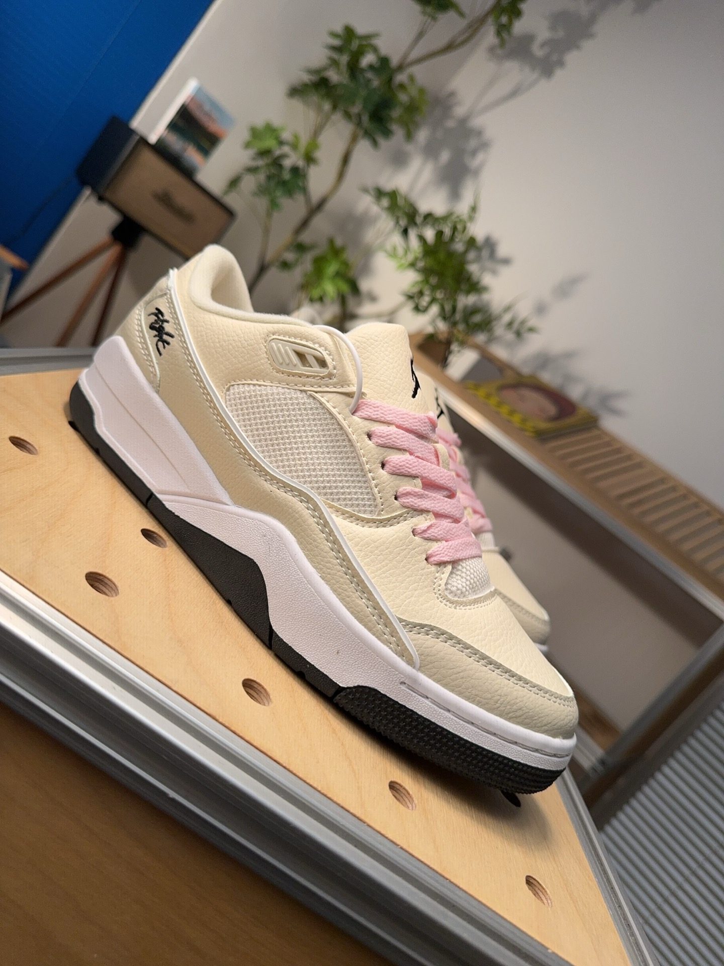 Nike Jordan